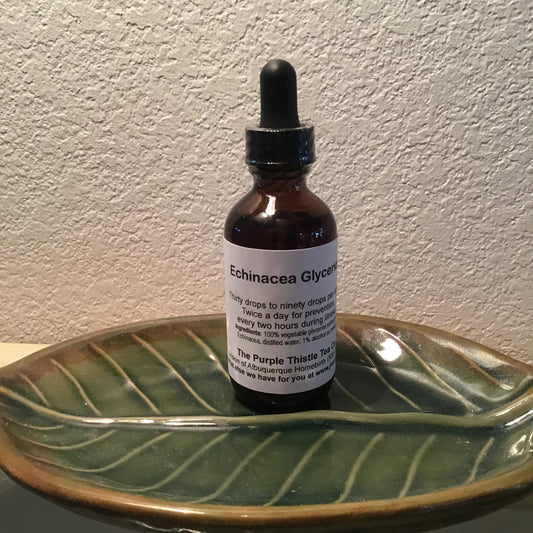 Echinacea Glyceride